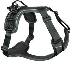 Ramble Harness