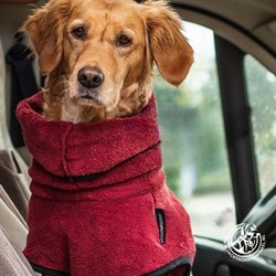 Dryup® Cape ROYAL BORDEAUX Extra Dikke Micro Cotton