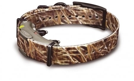 Dogtra ARC 800 Wetlands Camo Limited Edition-3