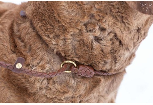 retriever-leash-cognac (8