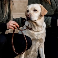 retriever-leash-cognac (9