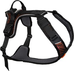 Rock Harness 