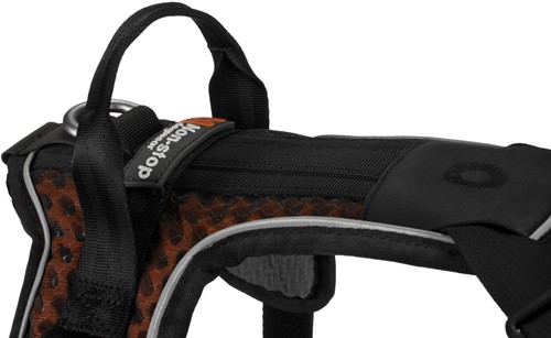 Rock Harness -2