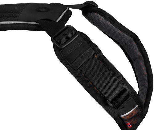 rock_harness_3.jpg