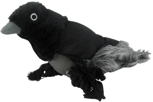 Rocking Ronny Raven Met flossy aan de poten