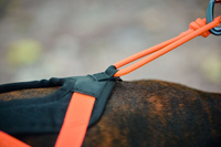 Rush harness-3