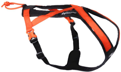 Rush harness- Black / Orange