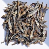 Gedroogde Visjes (Spiering)  - 100 Gram-2