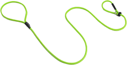 Dog & Field Signature Slip Lead