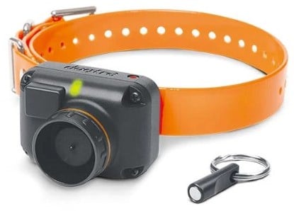 Dogtra StB Hawk-H collar