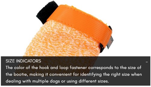 size indicator bands.jpg