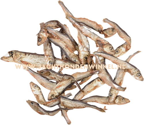 Gedroogde Visjes (Spiering)  - 100 Gram
