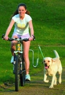 Dogrunner Fietsbeugel / Springer-3