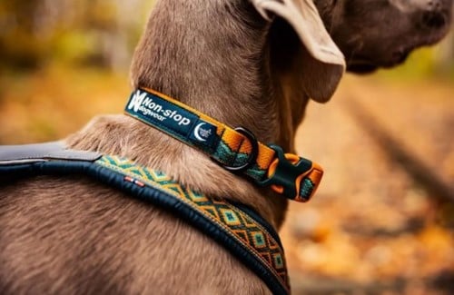 Trail Quest Collar Rachel Pohl edition TEAL-2