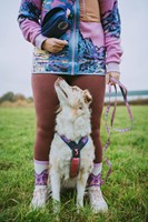 trail_quest_leash_rp_setting_1.jpg