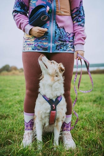 trail_quest_leash_rp_setting_1.jpg