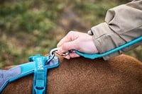 Trekking Rope Leash 8mm x 2,8m - Teal-2