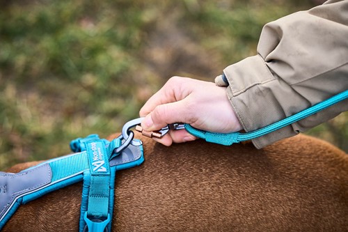 Trekking Rope Leash 8mm x 2,8m - Teal-2