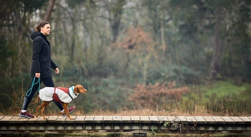 trekking_rope_leash_mood_1.jpg