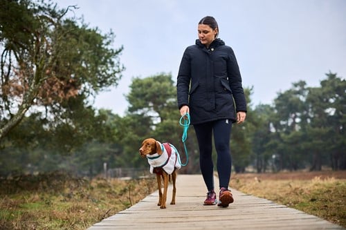 trekking_rope_leash_setting_1.jpg