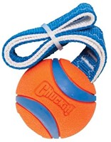 Chuckit! Ultra Tug Medium ø 6,5 cm-2