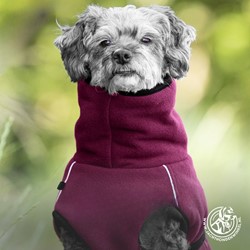 WarmUp Cape PRO MINI Bordeaux & Wine Red