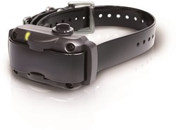 Dogtra YS600